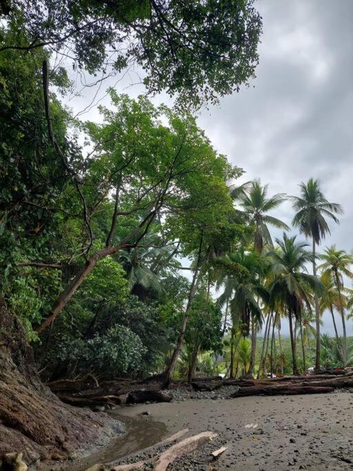 Casa Bahia Ale, Bahia Ballena Uvita Kültér fotó